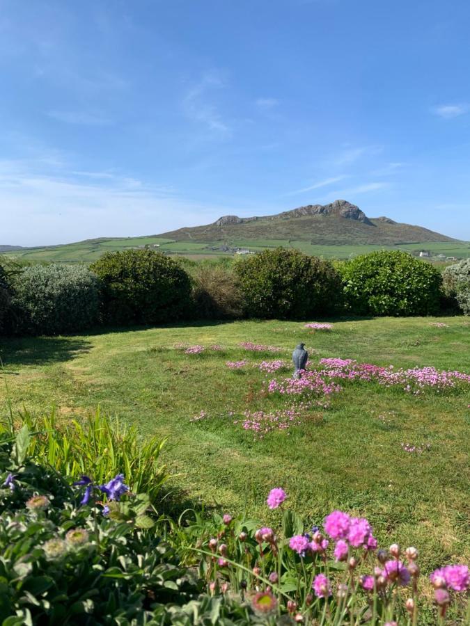 Craig-Y-Mor Suites With Sea Views Whitesands St Davids Dış mekan fotoğraf